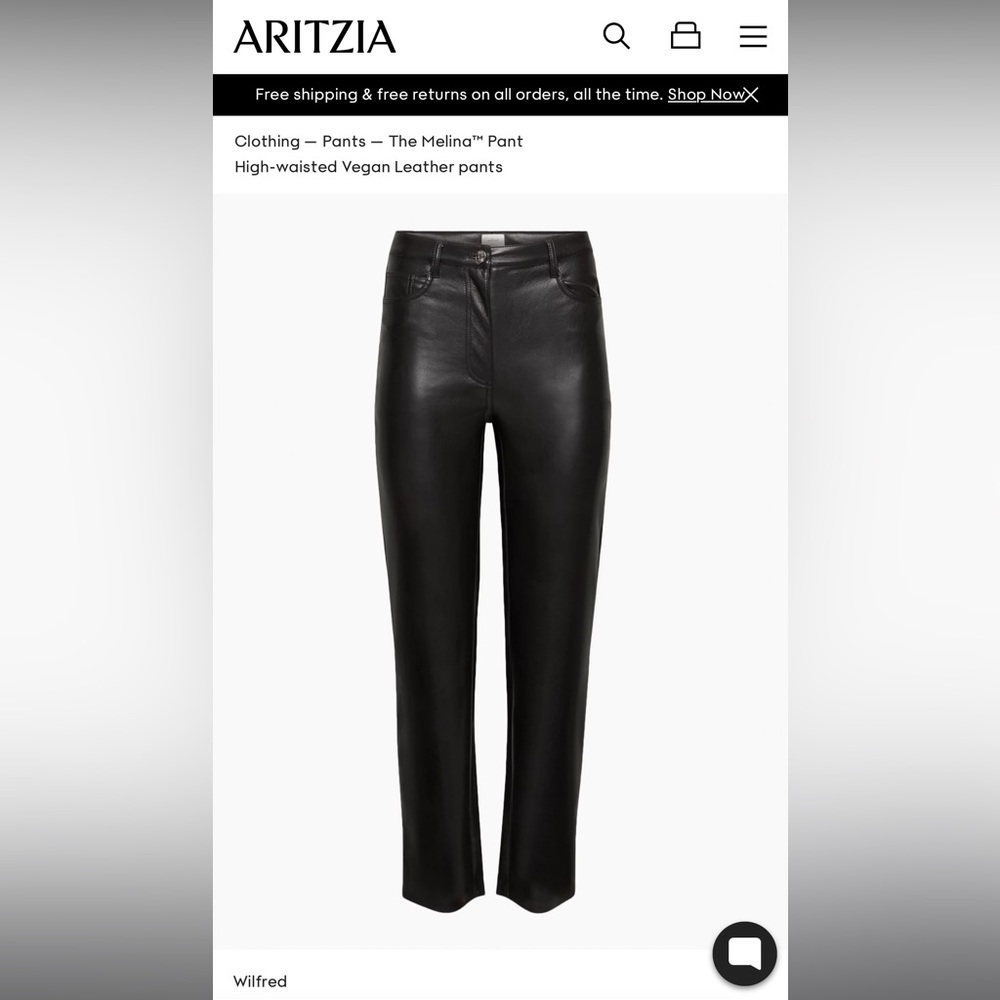 Aritzia Melina Pants